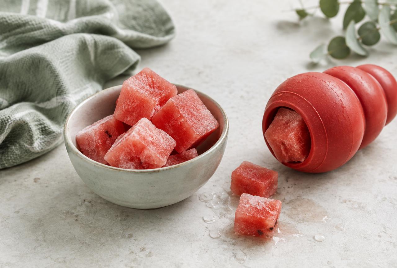Frozen watermelon cubes beside a rubber dog toy