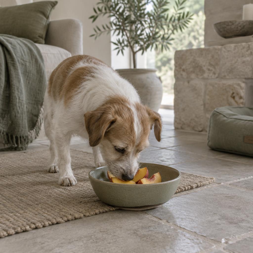 A small dog eating peach slices from a bowl